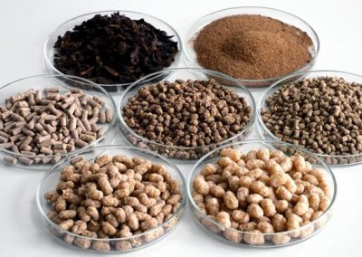 মাইলস্ এগ্রো ফিড মিলস্
