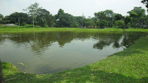 পুকুরের পানির গুণাগুণ পরীক্ষা ও প্রয়োজনীয় পরামর্শ প্রদান করা হয়